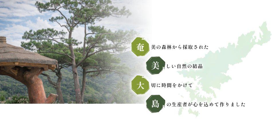 奄美大島の風景と琉球松